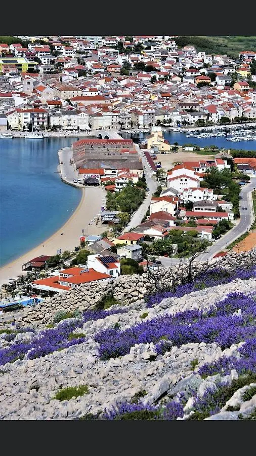 Apartments Anton Pag Town